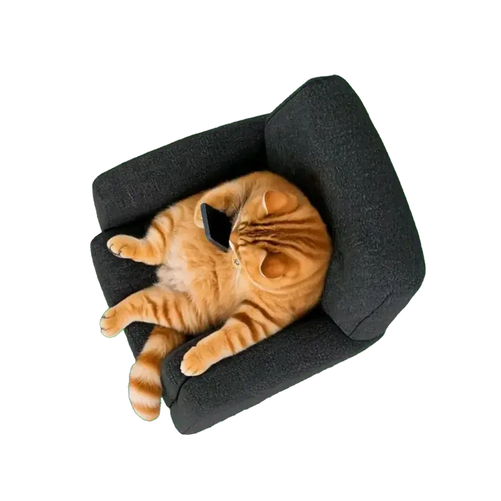 Top view of the SATS cat relaxing in his chair